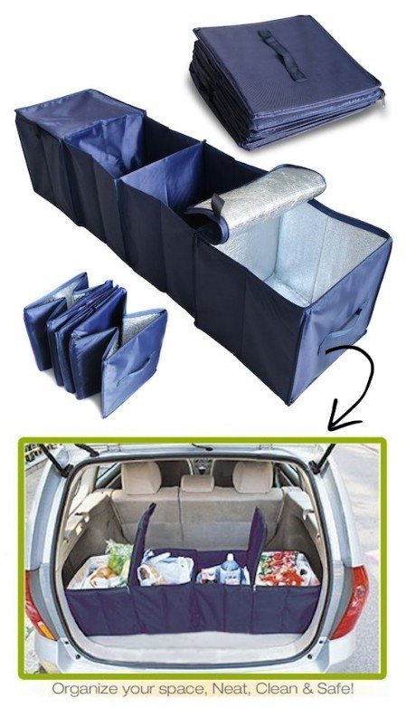 Compartmentalized Trunk Organizer