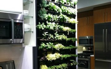 Filled kitchen herb holder