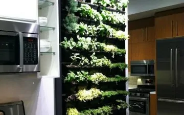 Filled kitchen herb holder