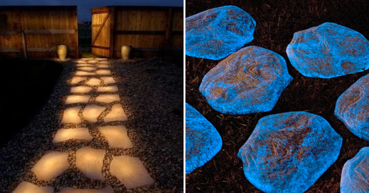 Glow in the dark shop paint for outside