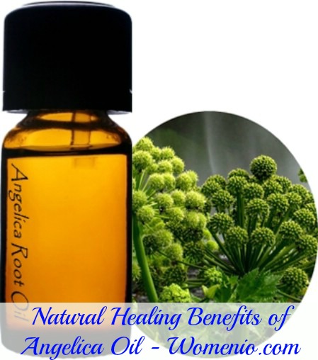 Natural benefits of angelica oil