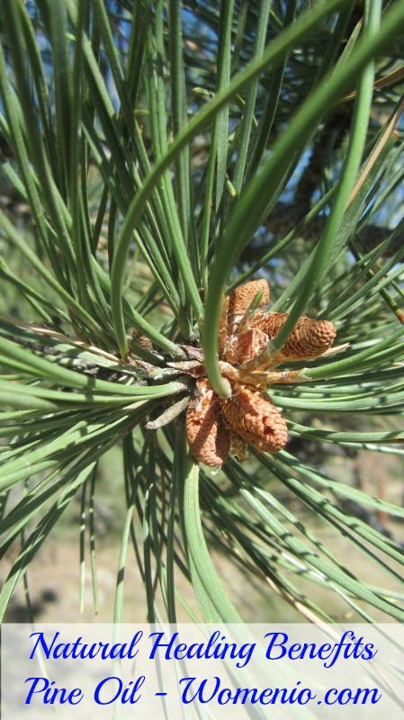 Pine oil benefits