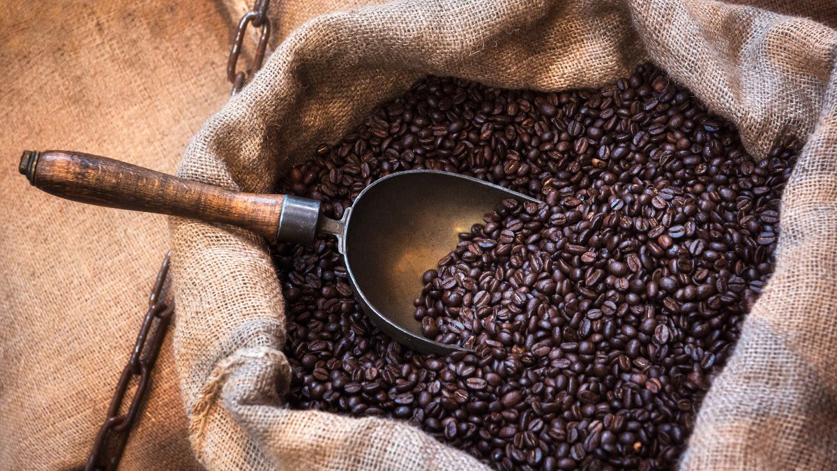 Caffeine - coffee beans