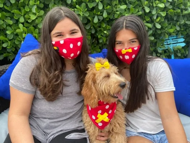 Dog bandana and matching owner face mask minnie mouse