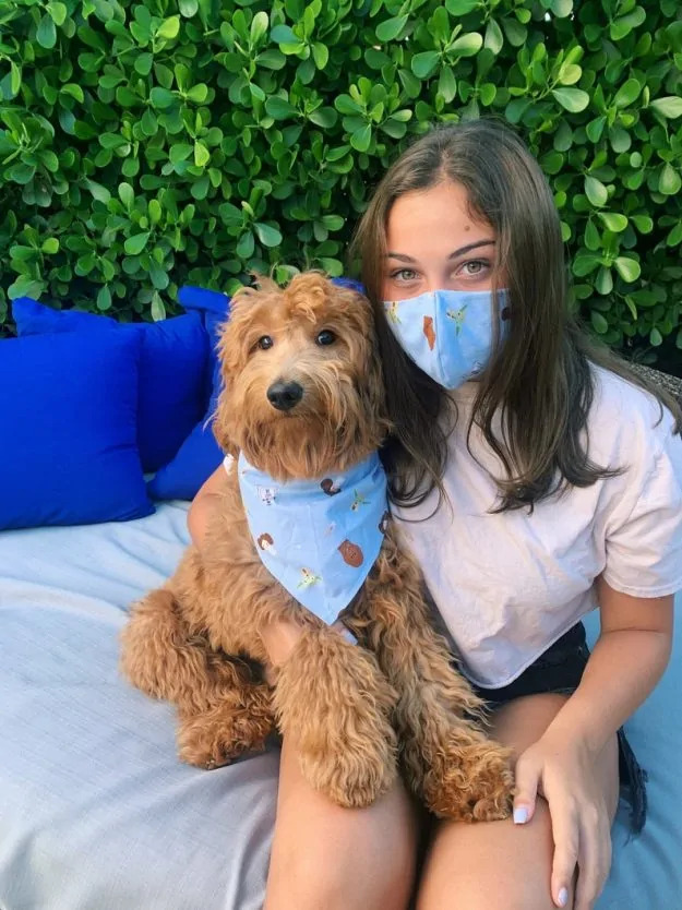 Dog bandana and matching owner face mask star wars