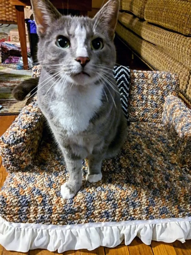 Cat crochet couch 4