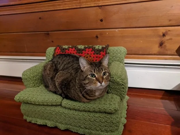 Cat crochet couch 7