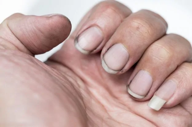 Here's what's been hiding under your fingernails