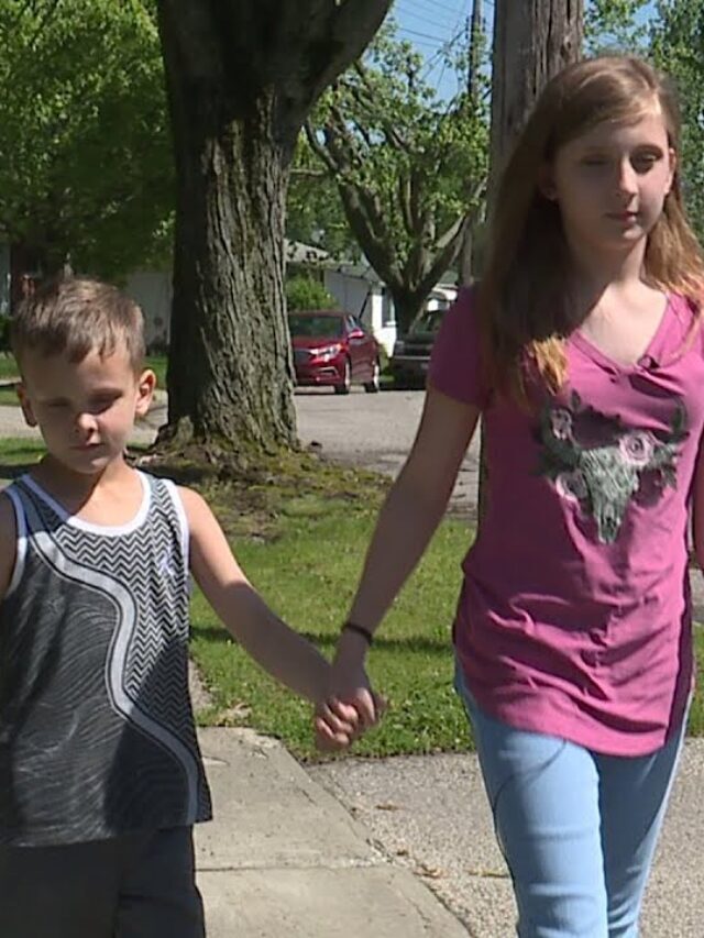 Stranger Grabs Little Boy From Yard But His Sister (11) Saves Him