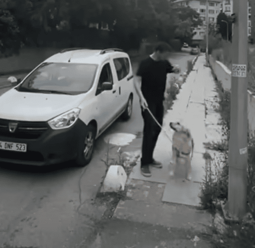 Owner Caught On Camera Heartlessly Abandoning Loyal Golden Retriever 1 Pup