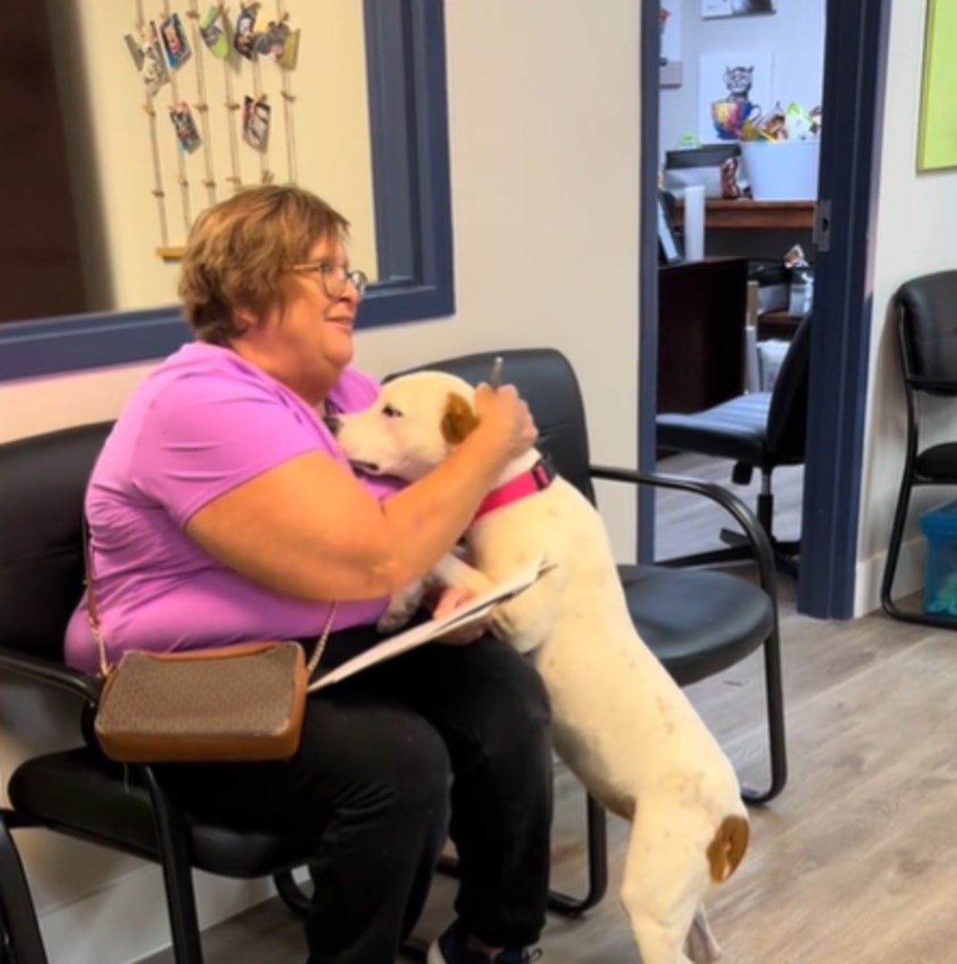 Shelter Dog's Heartmelting Reaction To Being Adopted Has Everyone In Tears 1 woman sitting on a chair and petting a white dog